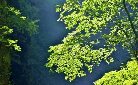 百里峡谷深处,百里峡美丽风景