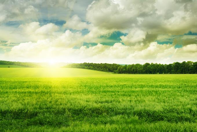 江西省南昌市首批22所足球特色示范幼儿园名单，足球从娃娃抓起