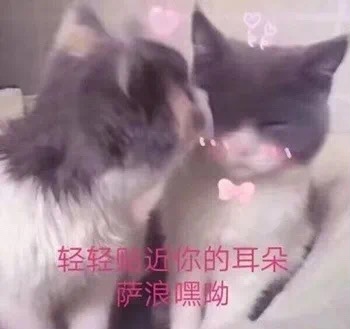 空姐导游直播带货?天猫国际在下怎样的一盘大棋?