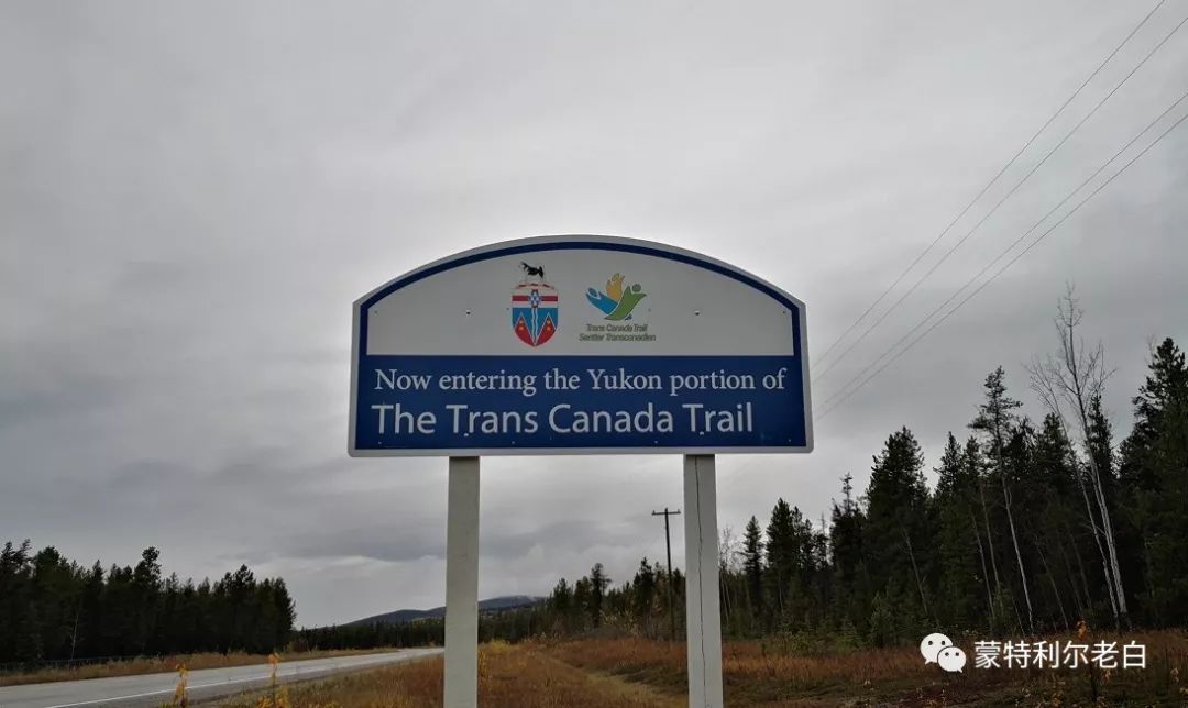 跟着老白行走加拿大，育空Watson Lake、BC省Northern Rockies