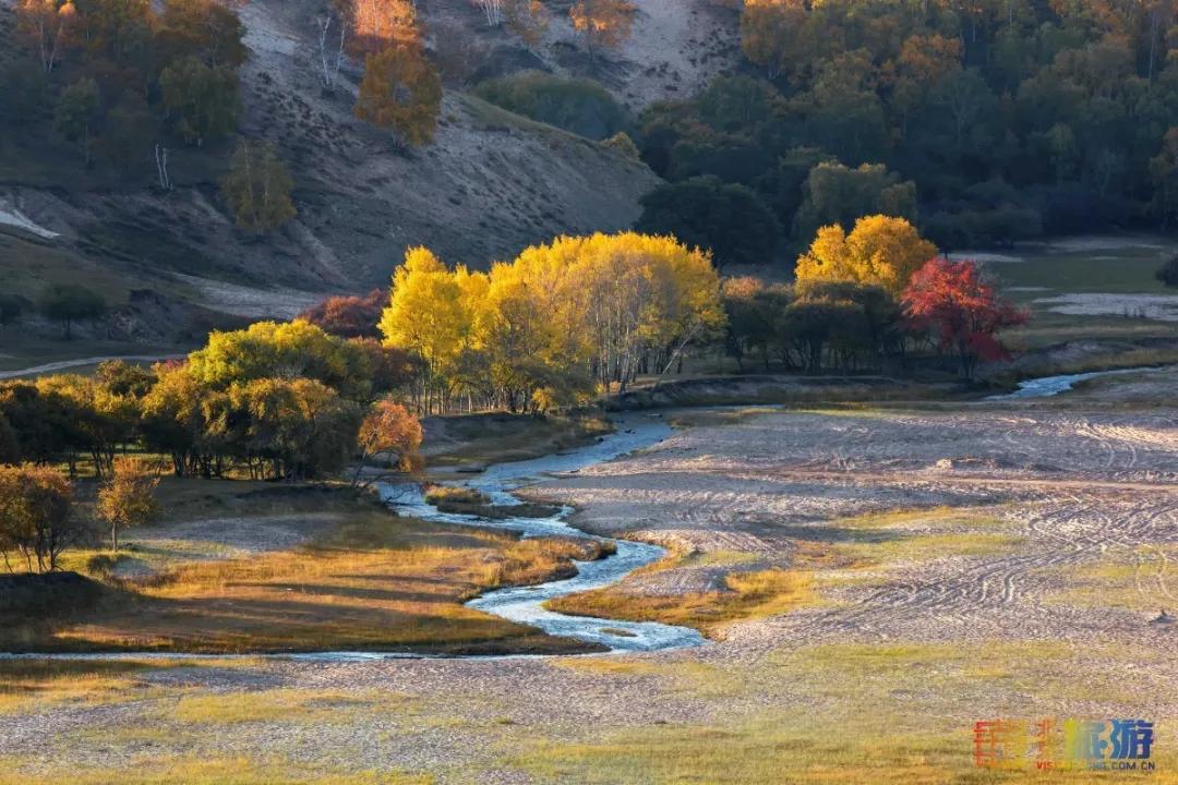 一到秋天，这里就美成了金色天堂！全世界独一份！