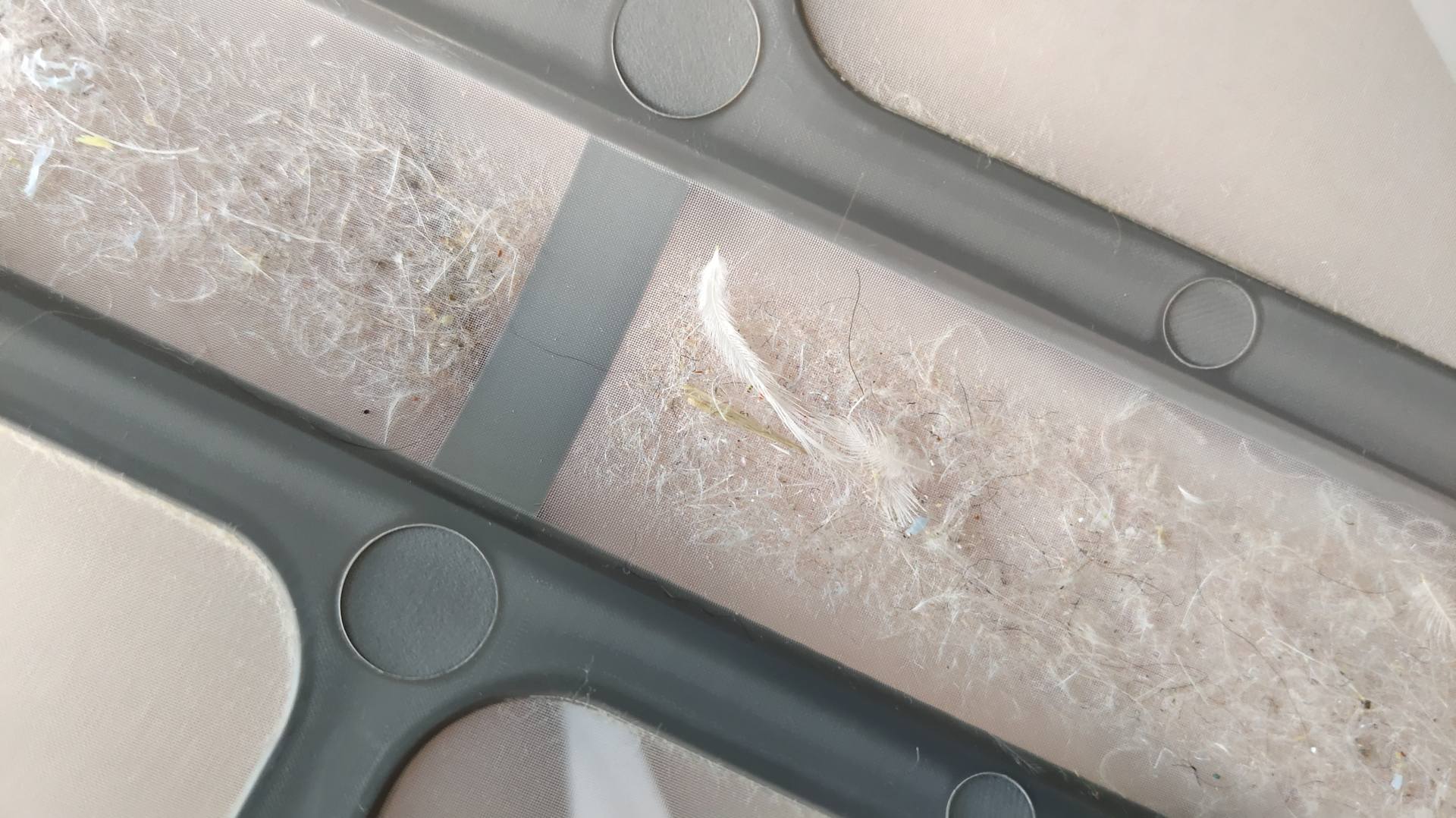 洗烘套装真的能烘干完直接穿吗,选对洗烘套装让衣物护理事半功倍