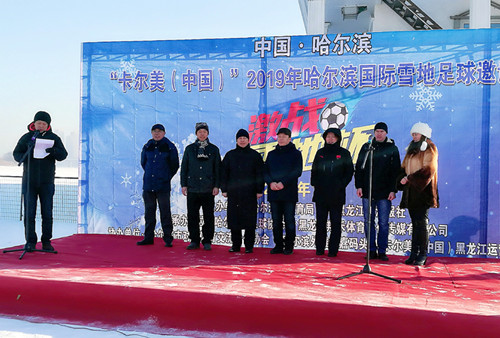 哈尔滨卡尔美足球比赛,卡尔美世界杯比赛