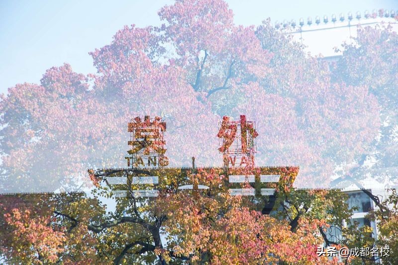 成都小升初私立学校如何选择,成都小升初私立学校收费标准