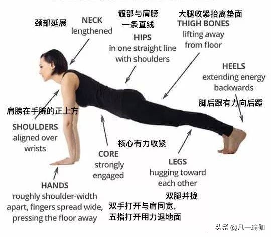 瑜伽练习的基本原则,瑜伽之光讲的什么