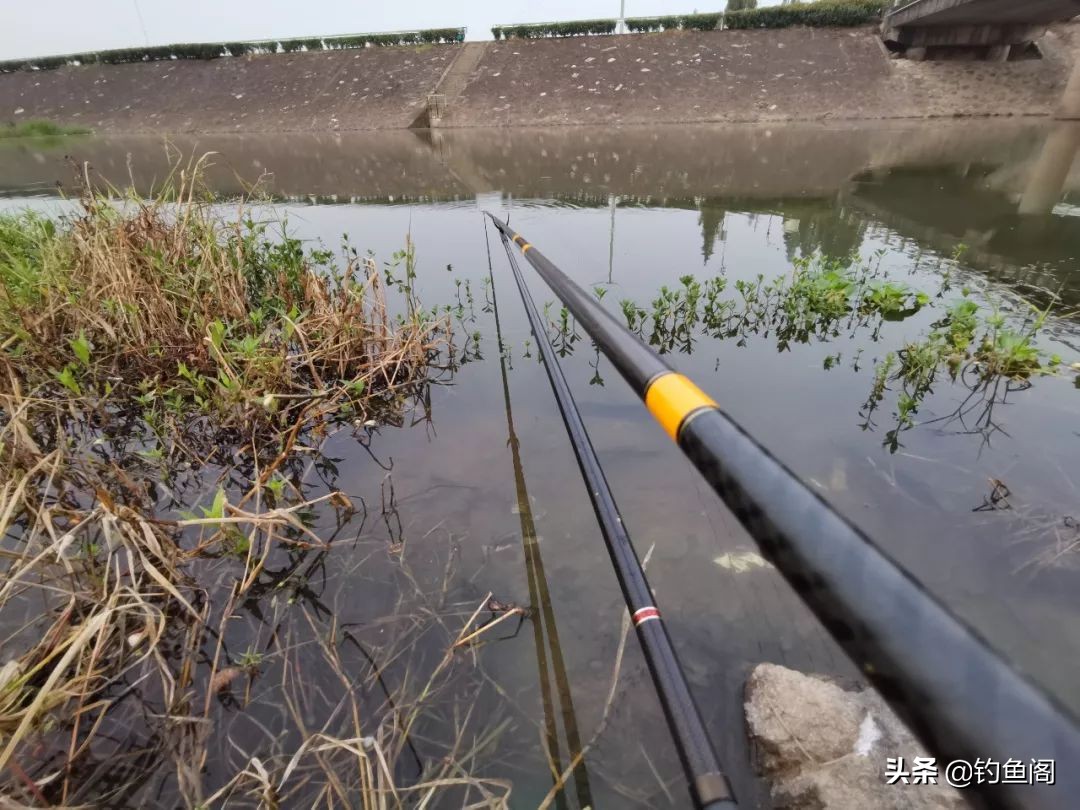 口香糖能钓到鱼吗？野河小测4小时，效果十分稳定