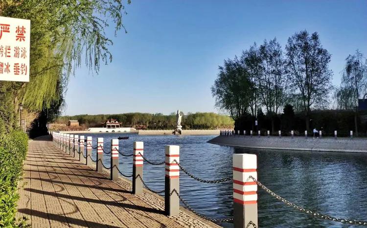 咏柳智永千字文,咏柳书法千字文