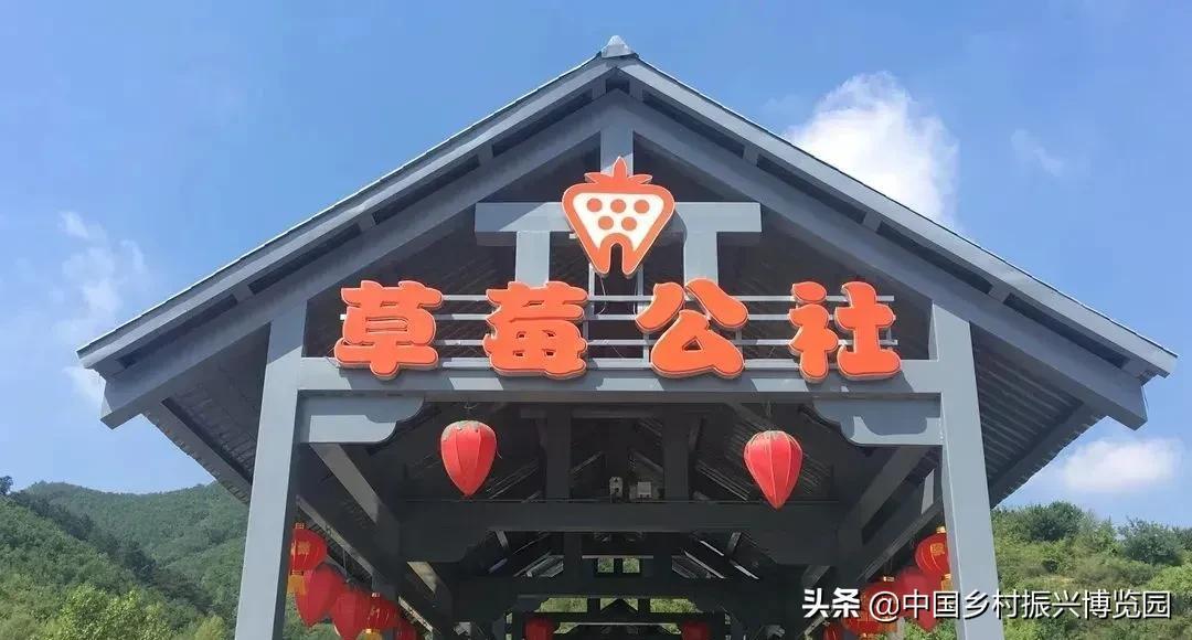 井陉人做了什么,井陉优秀人物