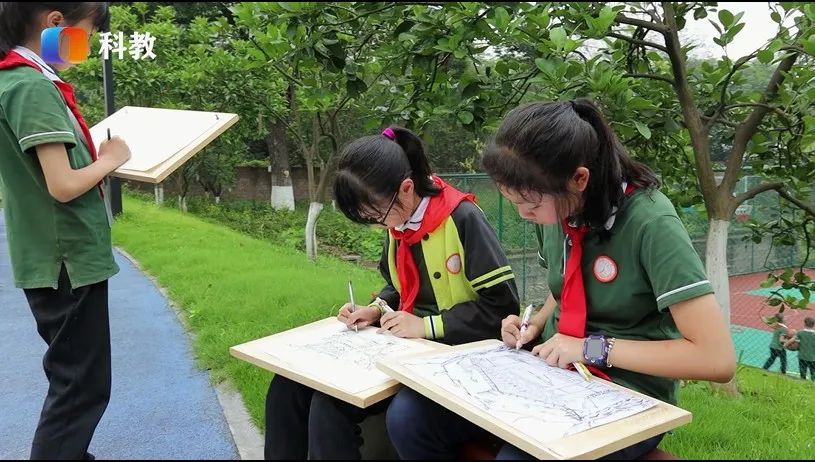 重庆市两江新区人和小学校,重庆市九龙坡区人和小学的简介