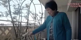 一辈子没结婚女性,一辈子没结婚的女性