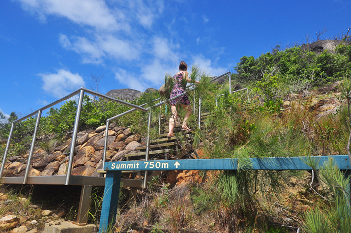 全民热遗｜大堡礁上有个翡翠岛，绝美好玩，还是海龟康复中心