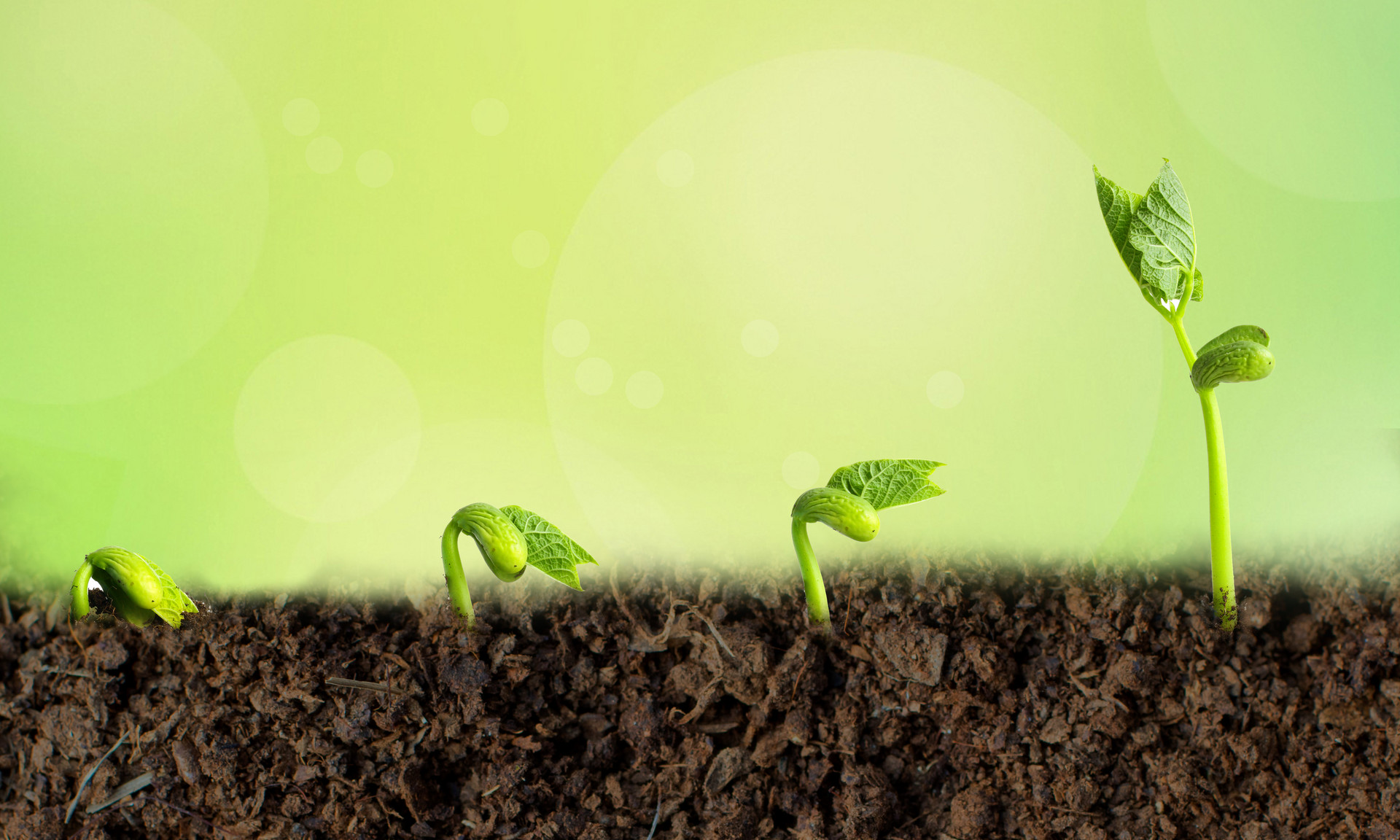 5分钟学会企业融资,5分钟了解企业如何估值