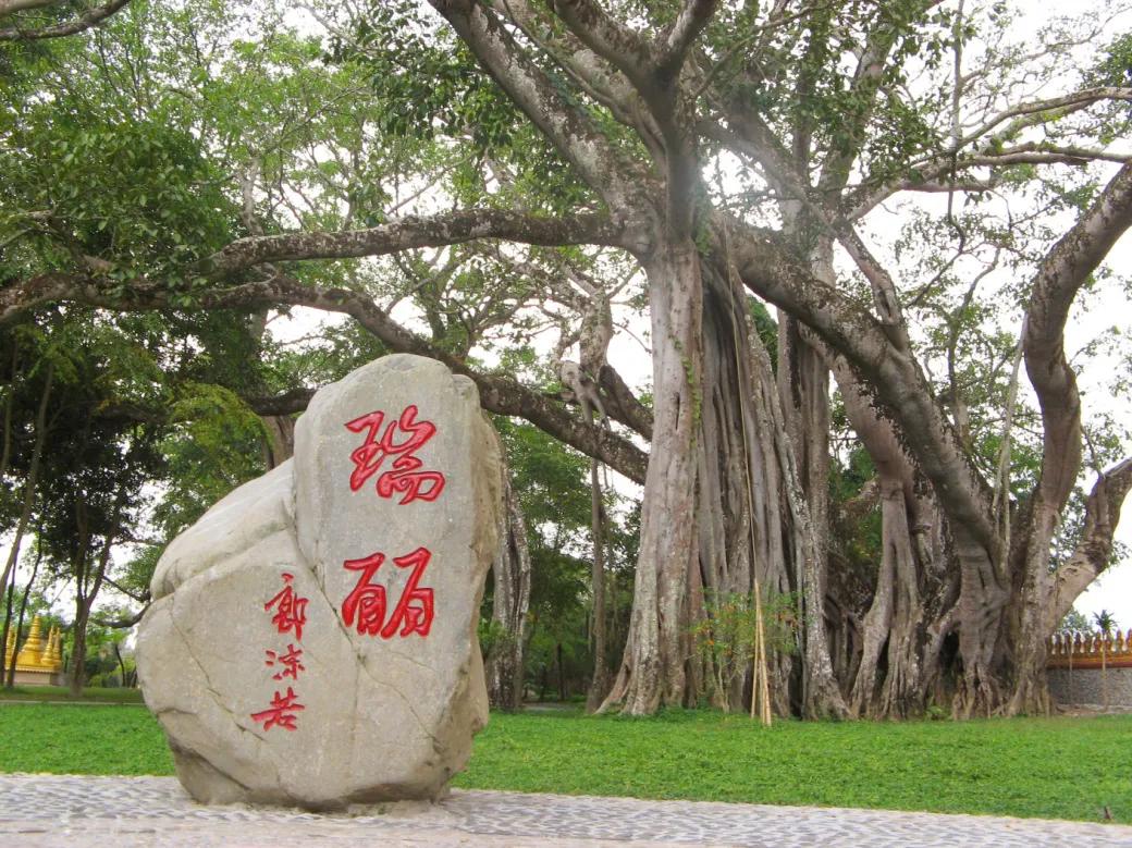 有一个美丽的地方德宏瑞丽,瑞丽景点有哪些地方