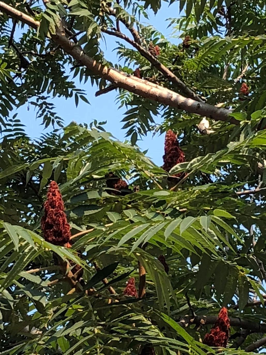 每日运势播报星座,每日运势播报靠谱吗
