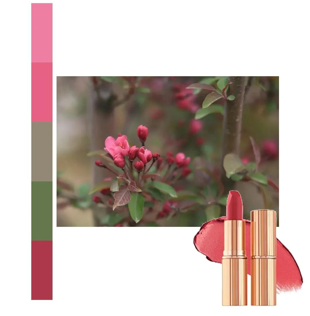 鐩存挱閭兏娌冲寳宸ョ▼澶у,娌冲寳宸ョ▼澶у缇庡