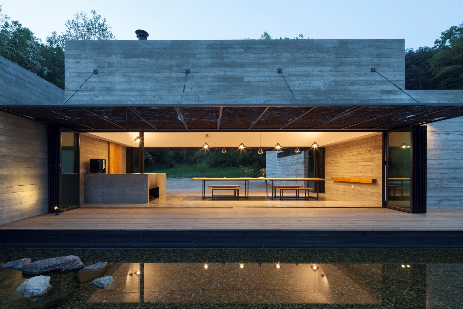 韩国蒲公英,韩国野生蒲公英的种植