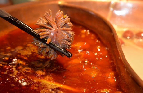 江苏好吃老火锅排行榜最新,南京老字号羊肉火锅