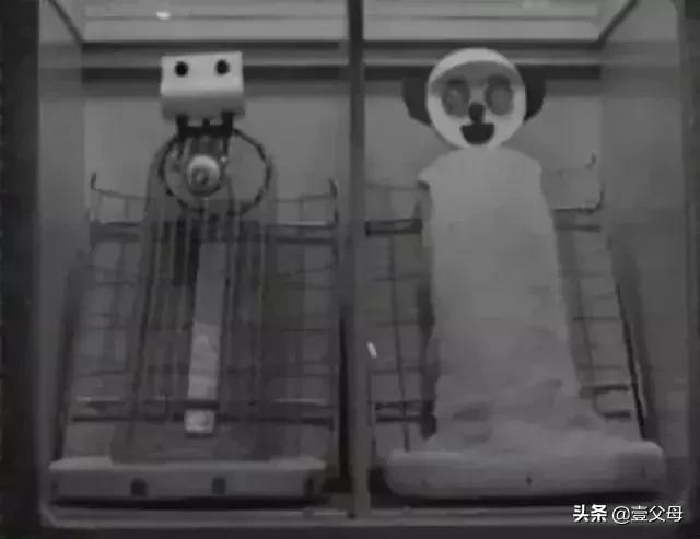 母亲心理学上的意义,妈妈必须知道的心理学实验