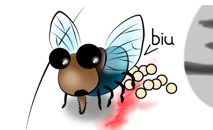 如果苍蝇和蚊子都灭绝了会发生啥,苍蝇消失会对地球有什么后果