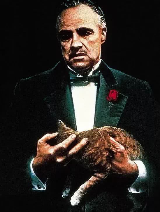 刘德华十部必看黑帮电影,香港十大必看黑帮电影刘德华