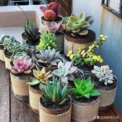 创意花盆简单制作方法,居家花盆