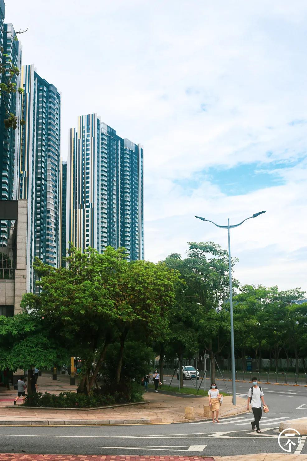 塘朗租房贵吗,西丽塘朗房租