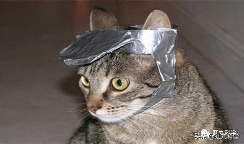 原来胶带也可以当粘粘球来玩,原来胶带还能这样用