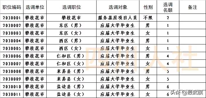 四川选调生2024公告职位表,四川选调生2024选调公告条件