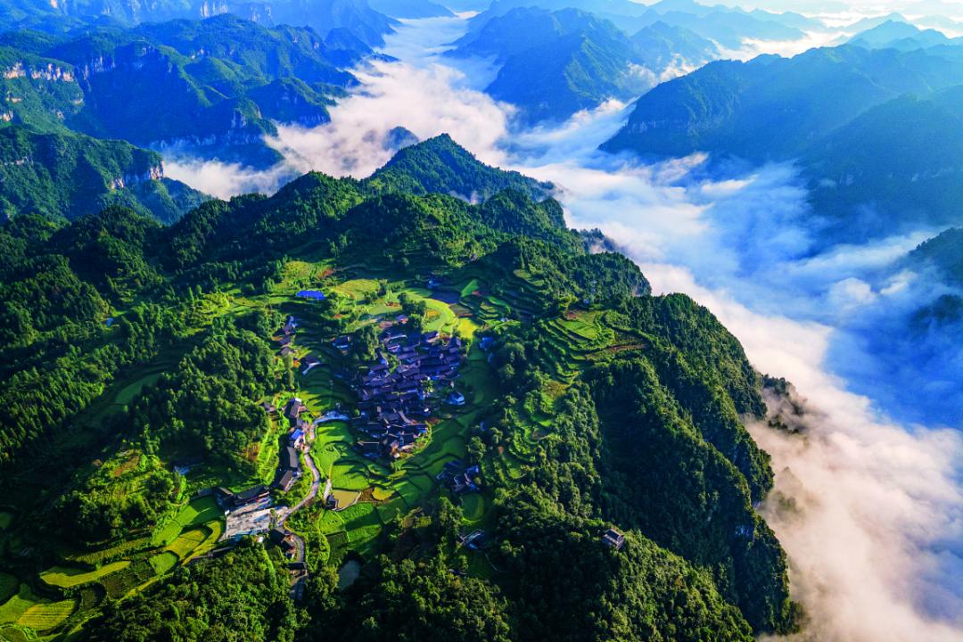 一本书一杯水一支笔,一本书一杯茶一份温暖