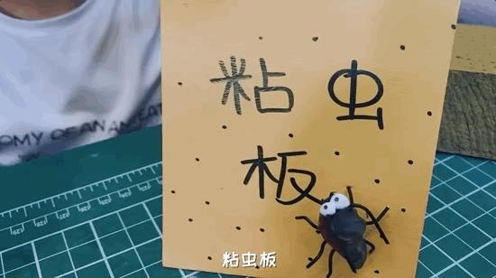 模型师消除家里蟑螂的模型,老袁如何消灭家里的蟑螂