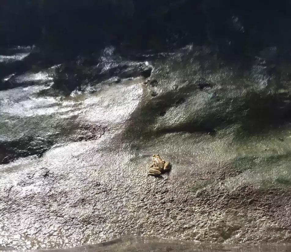 溪降到底在哪里,溪降航拍