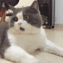 专访辩论圈国宝级教练：辩论虽是智力的比拼但更偏爱有胜负心的人