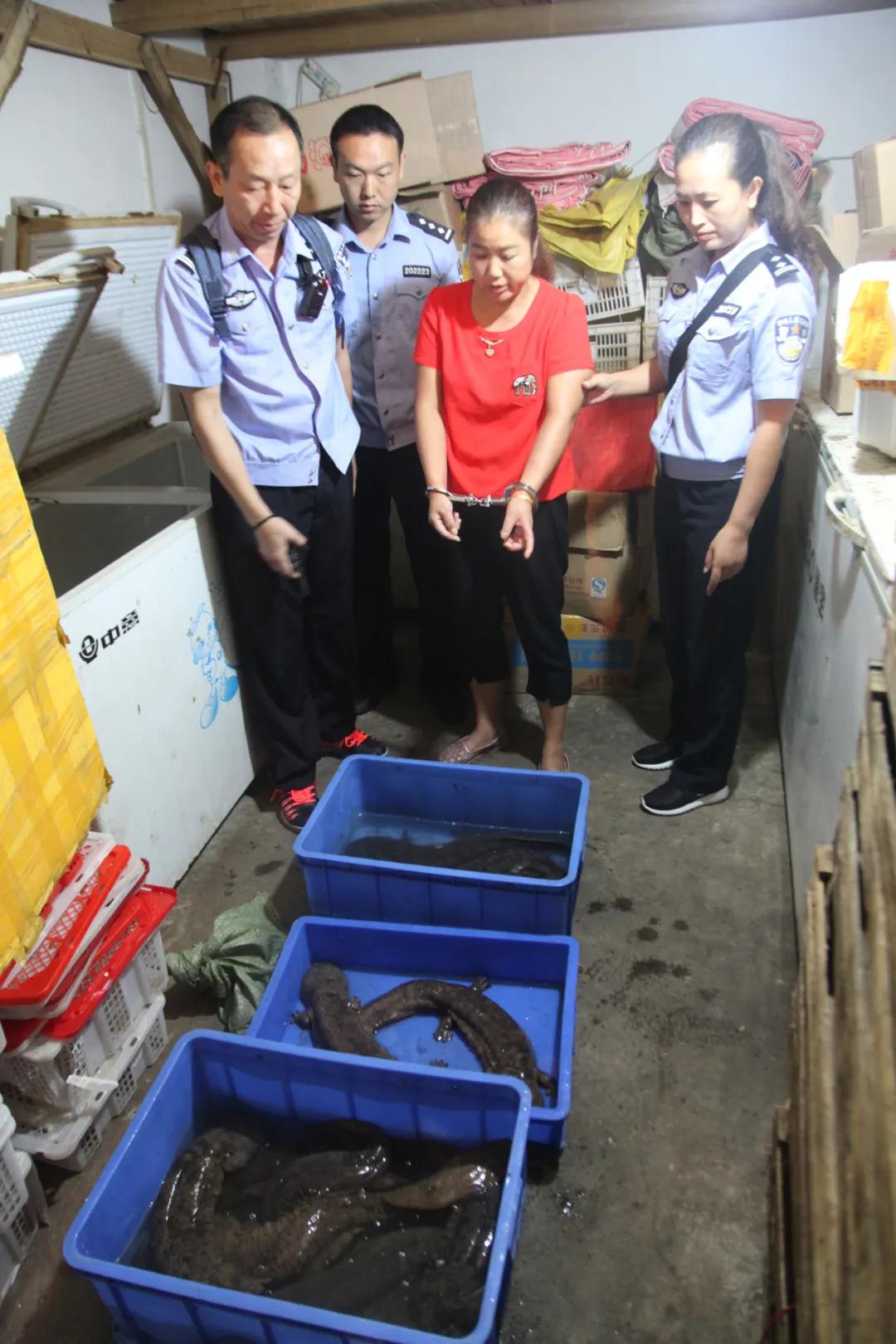 非法经营水生野生动物及产品案,非法经营野生动物的处罚