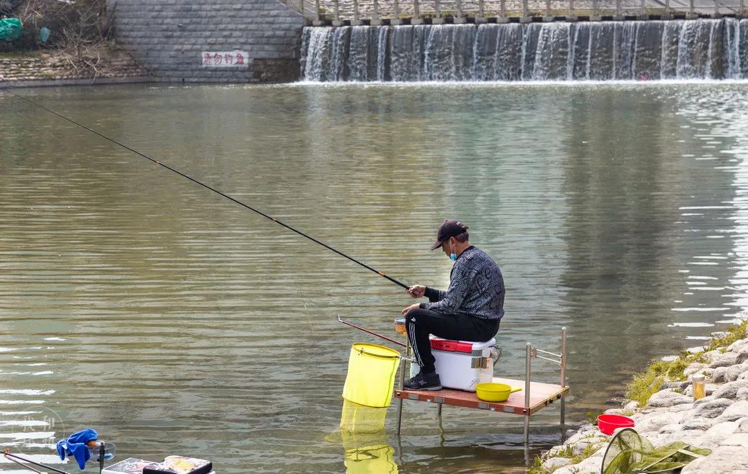 今天，带郑州的老铁们逛吃后河芦
