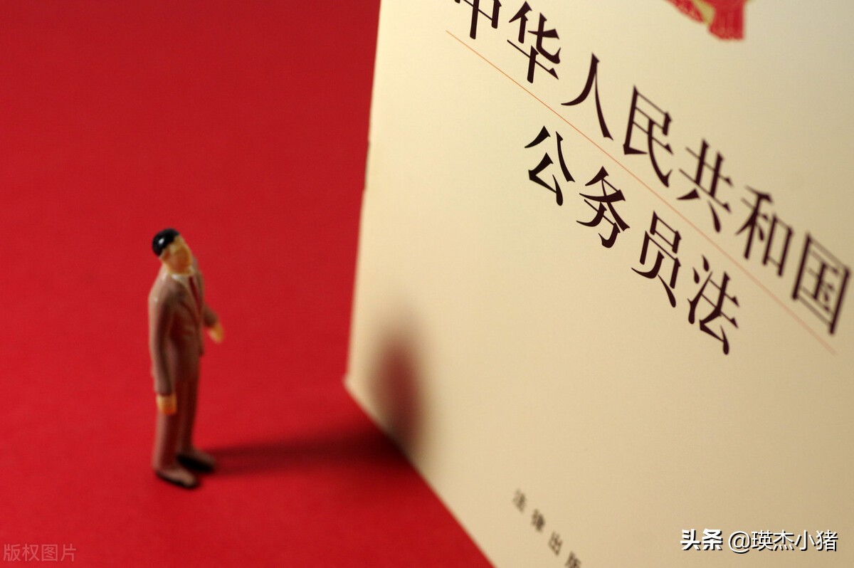 公务员的界定标准是什么,公务员的级别分为五类十个级别