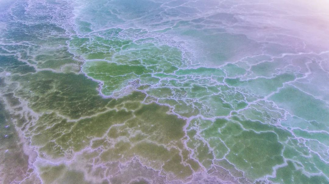 若羌罗布泊旅游攻略,罗布泊之旅最近的计划