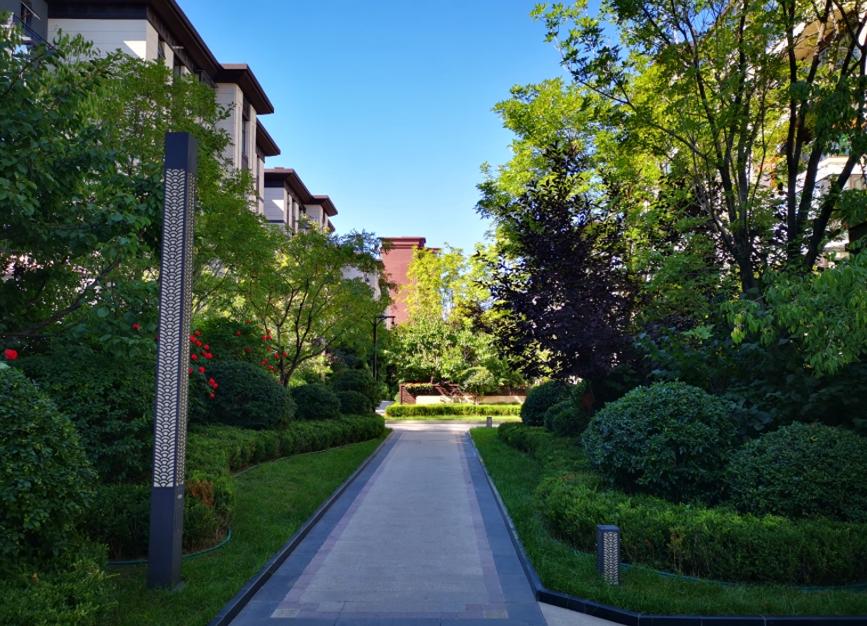 金地物业沈阳分公司总经理,金地物业2019排行