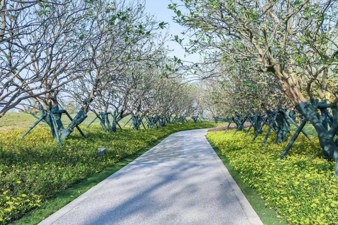 道天画卷寂然归心|怡品之珠海九洲保利天和·鹭语展示区