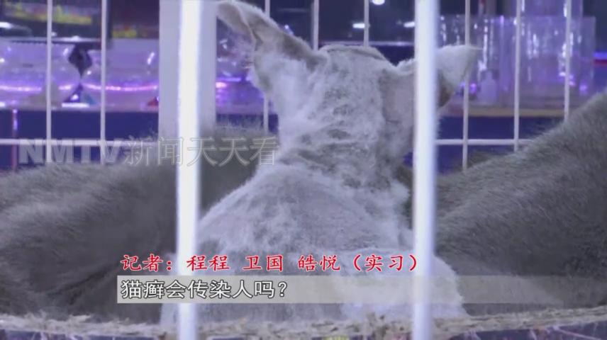 呼和浩特一女子花1500元买了只小猫，几天后孩子身上竟出了红疹？！女子投诉猫舍职能部门介入