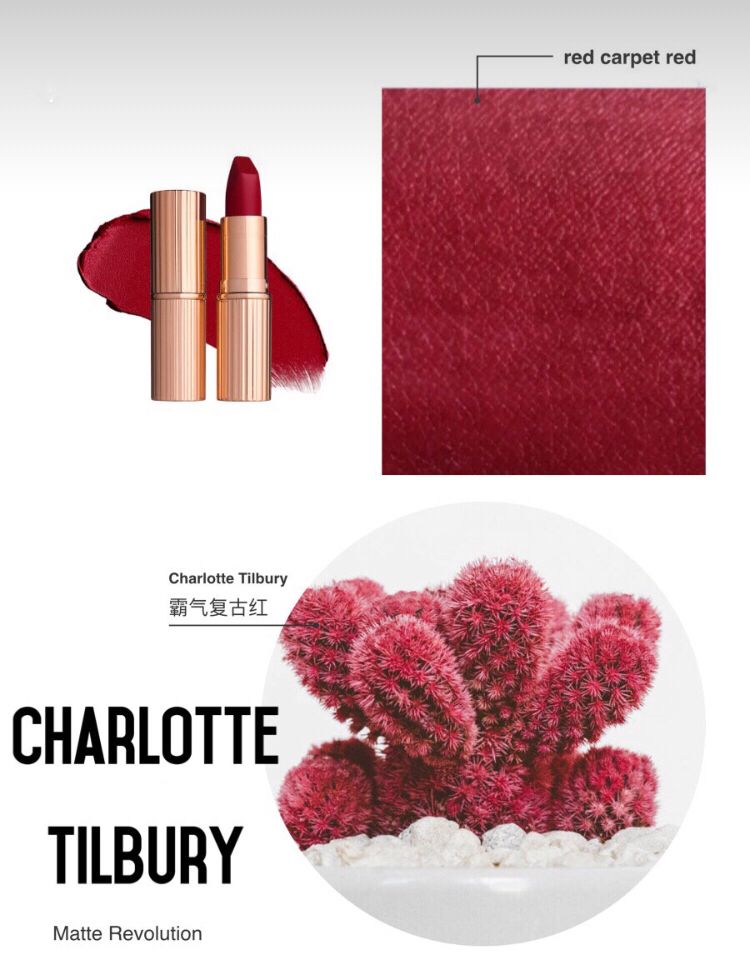 TF口红的双胞胎彩妆？颜值赛过YSL？真的假的！