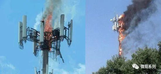 信息韭菜们的狂欢