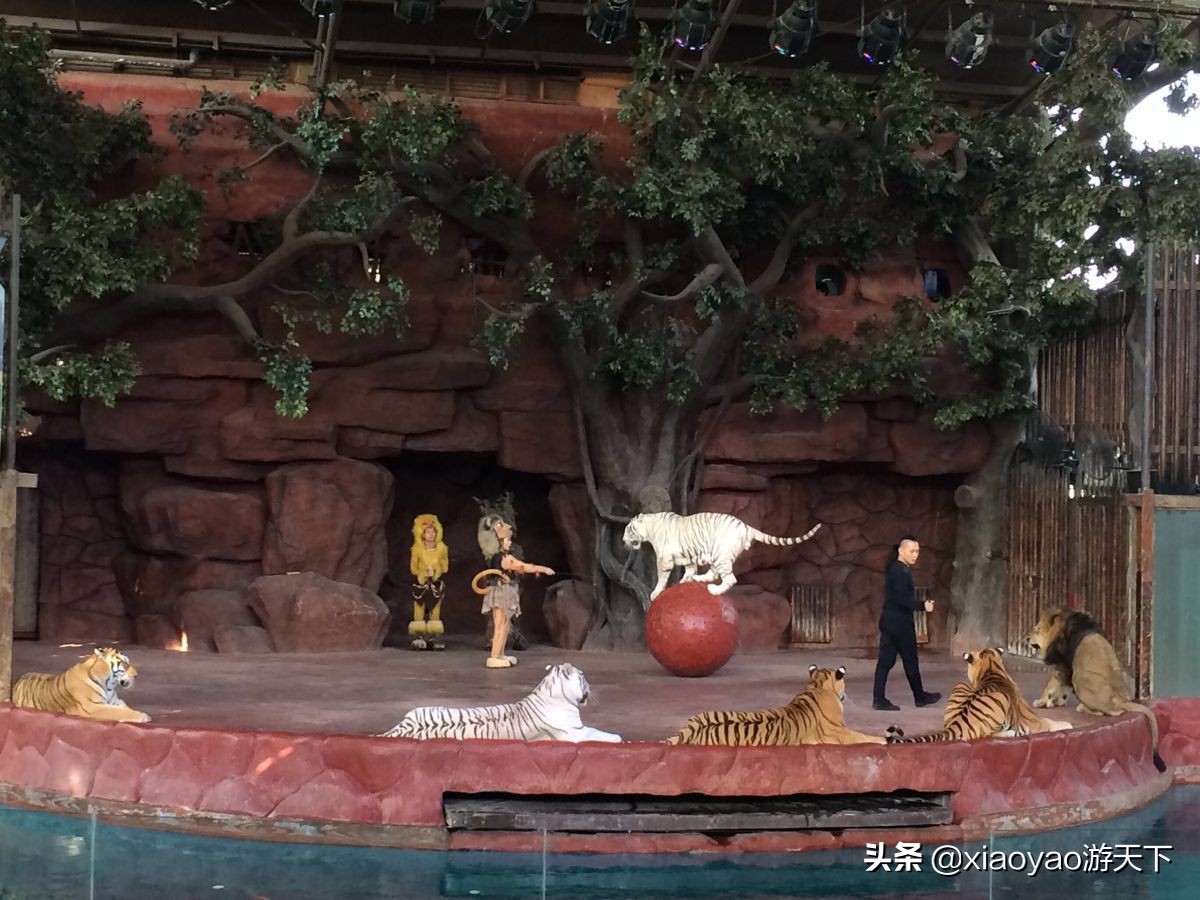 国家A级景区门票政策,全省104家a级旅游景区全部免票