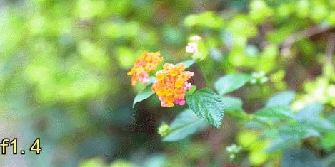 滤镜美颜功能有多强,滤镜效果实用