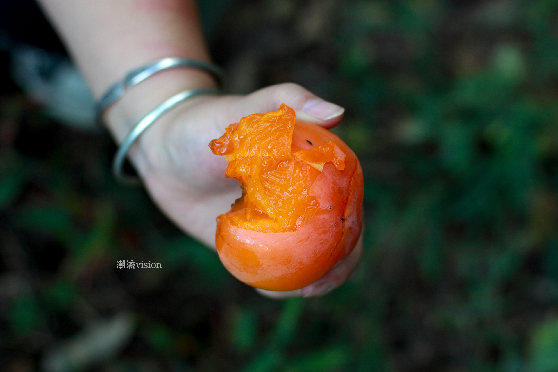 林州仙台山风景区门票,林州太行大峡谷仙台山
