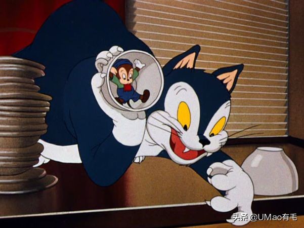 猫咪猜杯子游戏第三关,猫猜杯子游戏