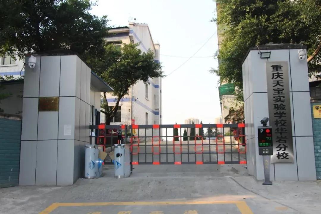 重庆七龙珠和四大金刚是哪些学校,重庆高中四大金刚学校排名