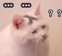 中华田园猫有哪些品种,中华田园猫白色异色瞳