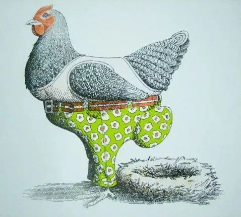 动物绝对不能穿衣服的绘本感言,比较好看的动物绘本推荐