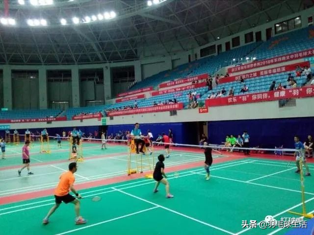 中国羽协羽毛球等级认证,羽毛球等级评定中羽三级