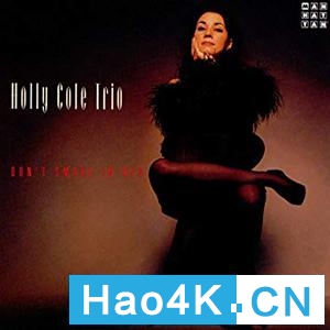 fyneaudiof500音箱怎么样,fyneaudio500书架音响